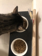 네이처스 버라이어티 인스팅트 치킨 2.2kg