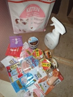 프리미엄 캣토리 참치&헤어볼 캔 80g