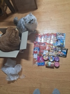네코 참치&치즈 파우치 70g