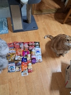 네코 참치&치즈 파우치 70g