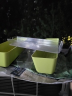 꿈쟁이 캣그라스 투톤화분 키트 귀리