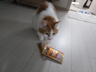 네코 그레이비 참치 토핑 연어 파우치 70g