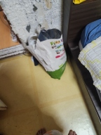 뉴트리나 리얼오플러스 캣 키튼 6kg