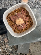 도모다찌 참치&치킨 캔 80g