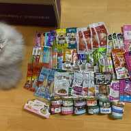 도모다찌 참치&게살 캔 80g