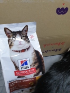 힐스 고양이 어덜트 헤어볼 컨트롤 1.6kg