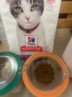 힐스 고양이 어덜트 11+ 1.6kg