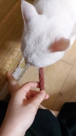 아스쿠 모정 사슴고기 저키 120g