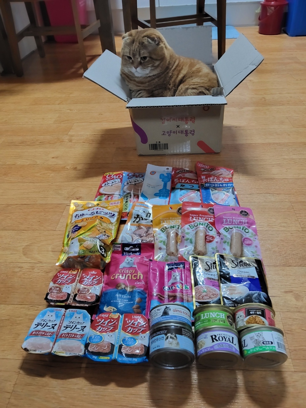 조아요