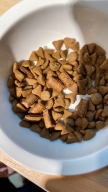 ANF 캣 홀리스틱 헬시웨이트 40g