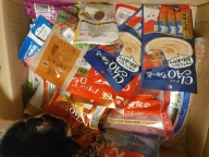 ANF 캣 홀리스틱 헬시웨이트 40g
