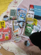 ANF 캣 홀리스틱 헬시웨이트 40g