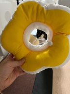 힐링타임 키티요요 넥카라 옐로우