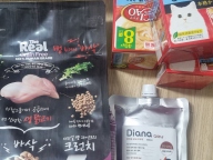 디아나 펫 살균 소독제 500ml 리필용