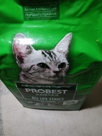 프로베스트 캣 20kg