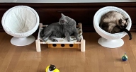배송빠르고 좋아요