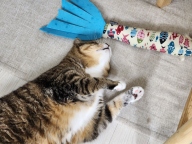 발라당 빅사이즈 바스락 물고기 캣닢인형 블루