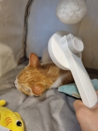 냥슬아치 원터치 솔솔 브러쉬 그레이