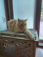 크림펫 숨숨집 스크래쳐 대형 하우스