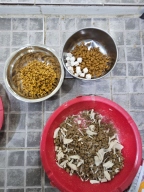 내추럴발란스 LI 닭&완두 4.54kg