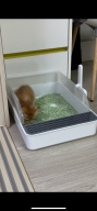 딩동펫 고양이 베타화장실 화이트