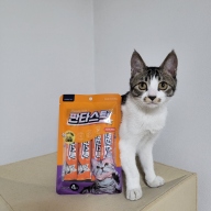 페디칼 판타스틱 치킨&연어 30g 4개입 4묶음