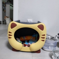 딩동펫 반려동물 뮤즈캣 다용도 수납 하우스