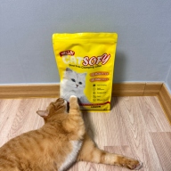 헬로캣 소피 대나무 화이버 천연모래 레몬향 6L