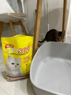 헬로캣 소피 대나무 화이버 천연모래 레몬향 6L