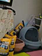 코스믹캣 오리지널 일반입자 무향 6kg 3묶음
