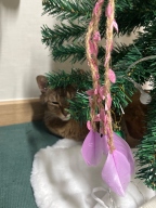 딩동펫 반려동물 고양이 삼줄깃털 낚싯대 3P SET