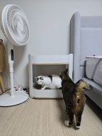 두잇 올데이 랙 미니 캣타워 선반