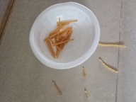 캐티맨 무첨가 소프트 참치 슬라이스 35g 3묶음