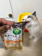 캐티맨 무첨가 소프트 치킨 미니칩 40g 3묶음