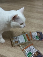 캐티맨 무첨가 소프트 치킨 미니칩 40g 3묶음