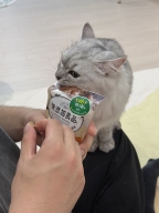 캐티맨 무첨가 소프트 치킨 미니칩 40g 3묶음