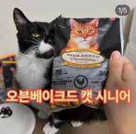 오븐베이크 트레디션 시니어 캣 치킨 1.13kg