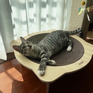 K-CAT 우드 볼 스크래쳐L 접착형