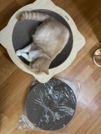 K-CAT 우드 볼 스크래쳐L 접착형