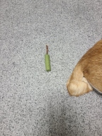 크레용펫 미치냥 캣닢 마따따비 냥빼로