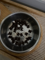 네츄럴코어 보라보라 덴티캣 닭고기 70g