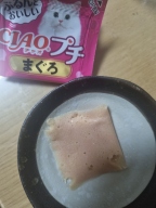 이나바 챠오 쁘띠 참치 5개입