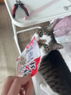 카네토라 가쓰오부시 3g