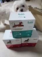 닥터웰릿 조인트 제이케어 츄 32개입