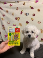 경남제약 강아지 레모나 관절케어 연어 5개입
