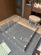 펫아미고 타일식 흡착 애견매트 비발수 45cmx45cm 그레이  4매