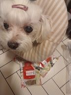 [샘플] 선데이펫 젠틀베이크 그레인프리 연어 30g