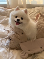 편한 가방!