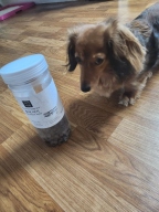 제로랩스 고기가득 져키 황태 1kg