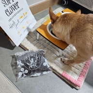 트럼펫 소프트클로버 힙앤조인트 황태 1kg